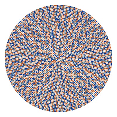 Сonfigurated rug